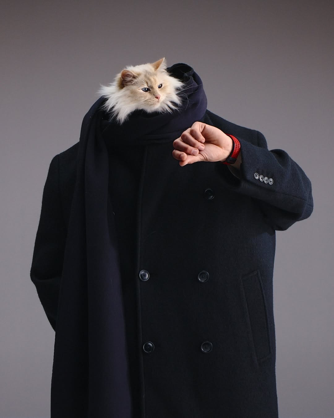 Choupette Lagerfeld Stars In Hublot’s 20th Anniversary “Big Bang” Campaign